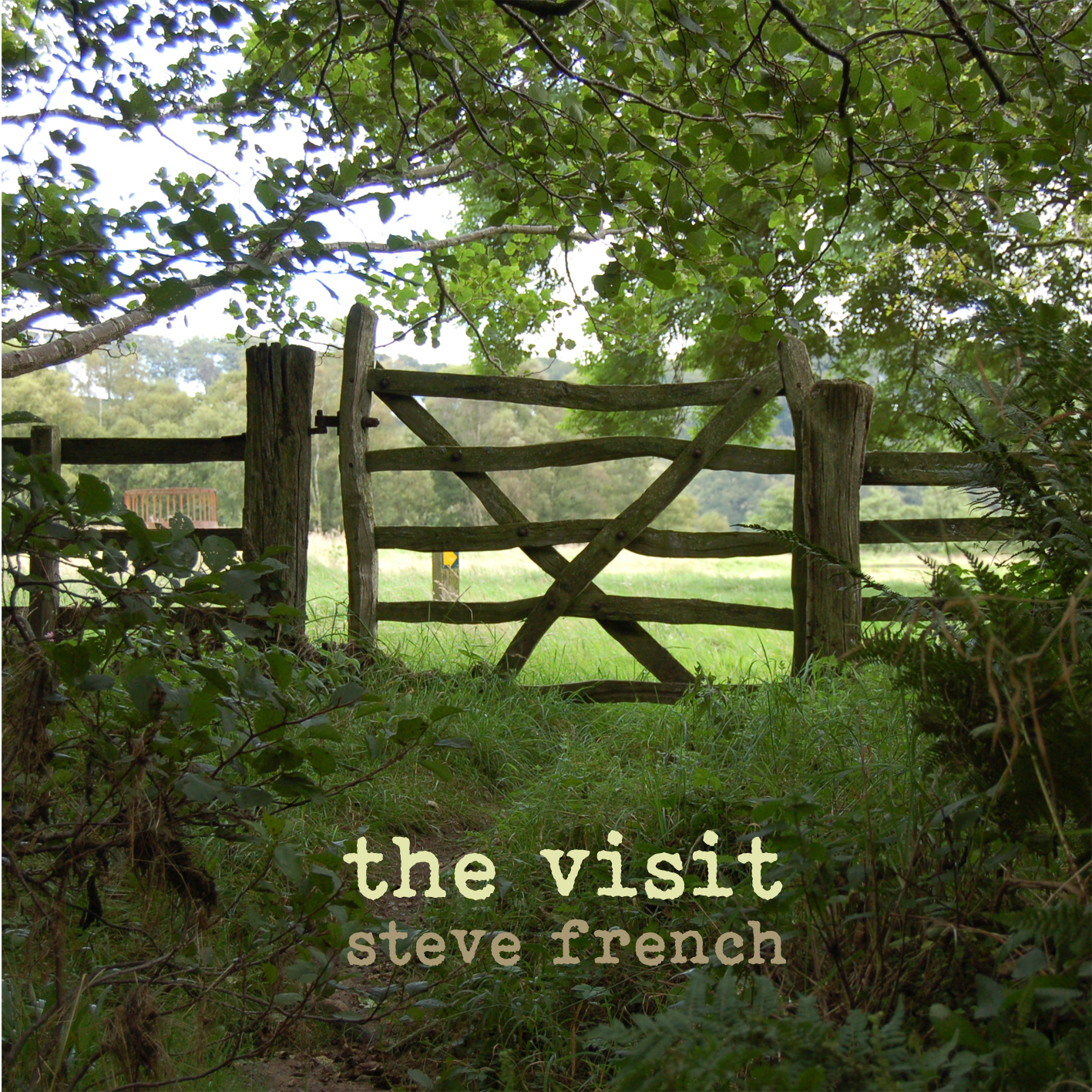 Steve French - The Visit Steve French - The Visit